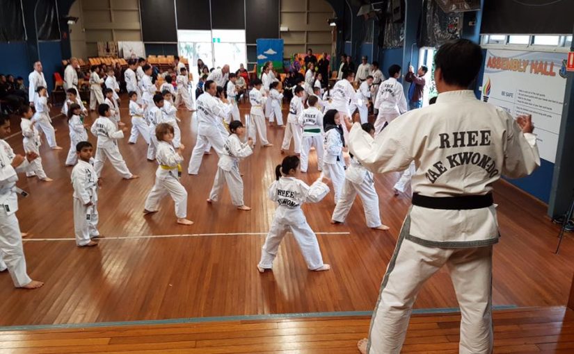 Taekwondo Training For Kids