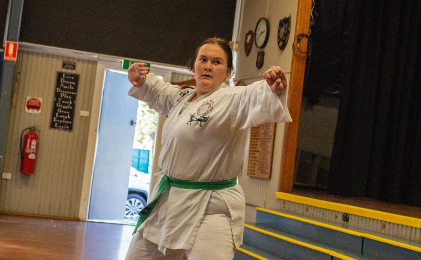 Tae Kwon Do Training For Women