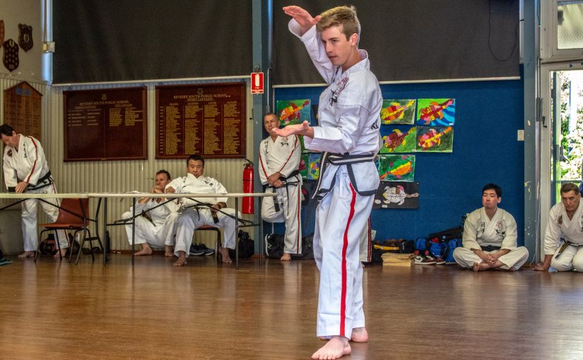 How Taekwondo Training Can Boost Your Career