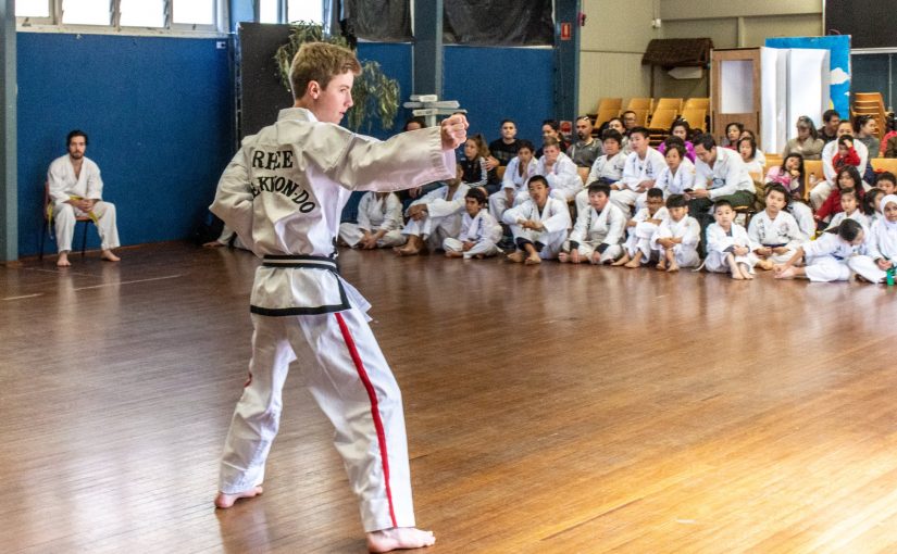 Taekwondo For Kids