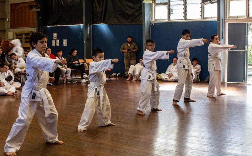 Martial art for kids